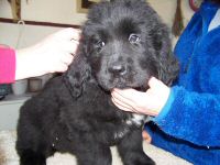 Isamu_Michio (3).JPG